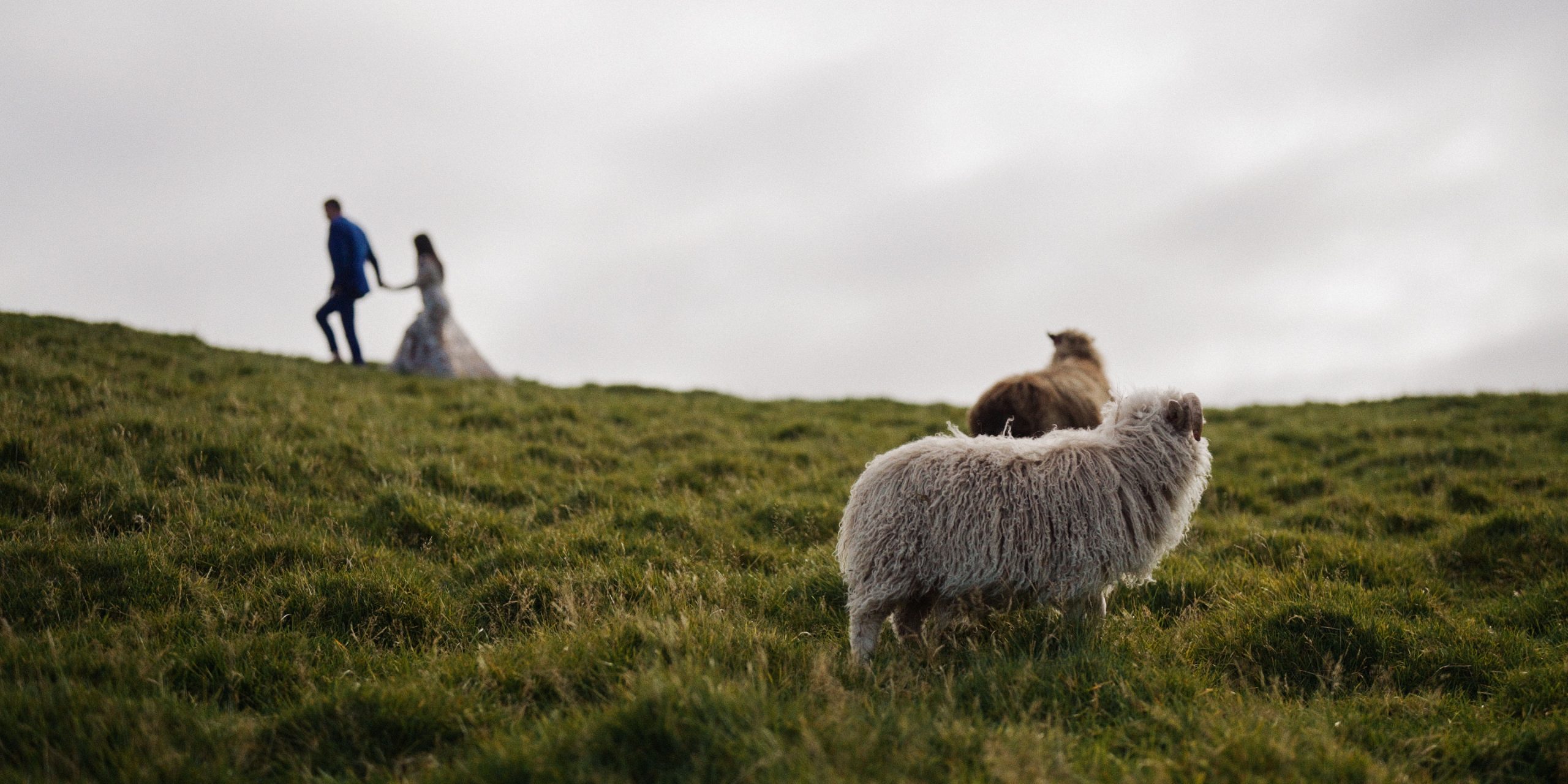 faroe islands wedding photographer videographer
